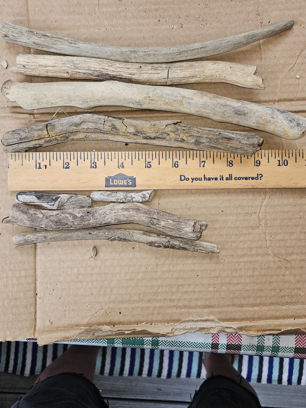 Natural Driftwood Stick Bundle  #12- Neutral Brown Decorative Accents